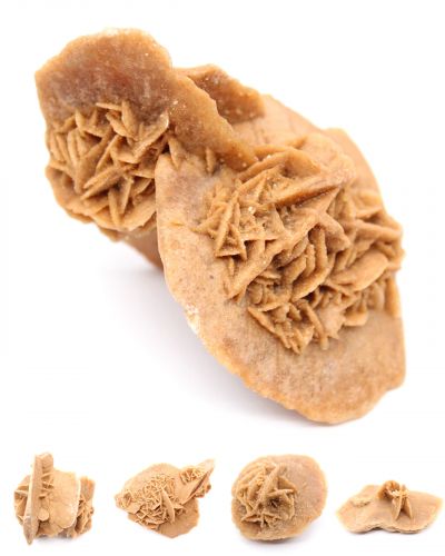 Rosa del desierto Marruecos collection febrero 2026