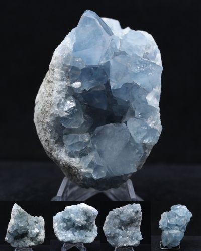 Celeste Madagascar collection febrero 2026 Celeste Madagascar collection febrero 2026