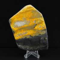 Colección Bumblebee Polished Indonesia