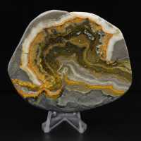 Adorno de abejorro de jaspe pulido, Indonesia, raro