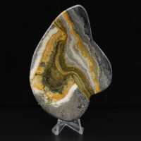 Ciencia mineral de roca de jaspe abejorro pulido