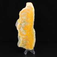 Rebanada pulida de jaspe abejorro de Indonesia