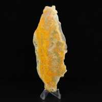 Jaspe abejorro de Indonesia: una pieza de exhibición