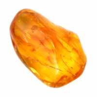 Guijarro de ámbar amarillo pulido: piedra fósil para decoración