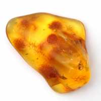 Guijarro de ámbar amarillo, objeto mineral de Lituania – Ejemplar decorativo