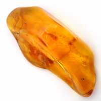 Ámbar amarillo de Lituania: guijarro natural y auténtico