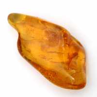 Piedra de ámbar amarillo de Lituania para la recolección de fósiles