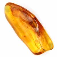 Guijarro de ámbar amarillo pulido: ejemplar de colección de Lituania