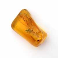 Mini guijarro de ámbar amarillo báltico: fósil para decoración