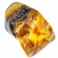 Auténtico guijarro de ámbar pulido de Lituania - Ejemplar de mineralogía