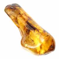 Ejemplar de guijarro de ámbar pulido - Decoración y ciencia geológica