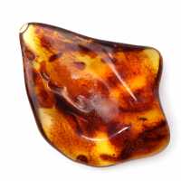 Ámbar lituano pulido: una piedra para la colección de fósiles