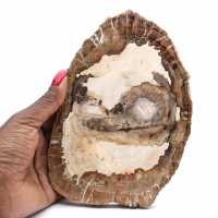Rebanada de madera fósil pulida, adorno de personaje, Madagascar Rebanada de madera fósil pulida, adorno de personaje, Madagascar