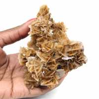 Barita marroquí con una estructura fina