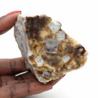 Fluorita verde de coleccionista: Pequeño ejemplar sobre matriz Fluorita verde de coleccionista: Pequeño ejemplar sobre matriz