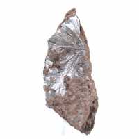 Cristales de pirolusita en bruto, muestra alargada