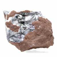 Pirolusita, Ejemplar Mineralógico con Matriz