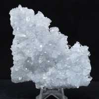 Fragmento de Celestina: pequeño ejemplar de Madagascar