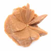 Gran cristal de rosa del desierto: ejemplar procedente de Marruecos