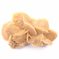 Ejemplar de yeso cristalizado: Rosa del desierto de Marruecos