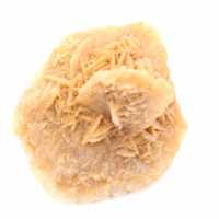 Rosa del desierto marroquí: una enorme roseta de colección