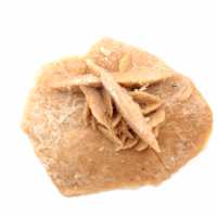 Roseta mineral de Marruecos: cristalización de yeso