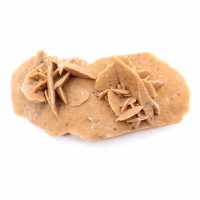 Rosa del desierto alargada de Marruecos: un espécimen geológico