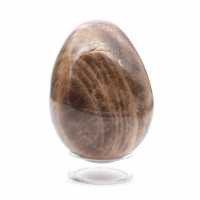 Huevo de microclina de Madagascar negra 235 g