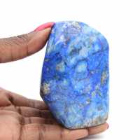 Fósil de amonita aserrado y pulido: brillo natural de Madagascar