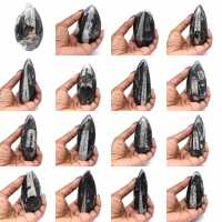 Fósil de Orthoceras hallado en Marruecos