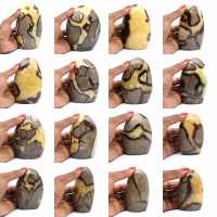 Roca en Septaria Roca en Septaria