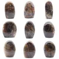 Microclina ornamental Microclina ornamental