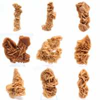 Rosa de arena mineral natural Túnez