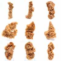 Rosa de arena mineral natural Túnez