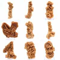 Rosa de arena mineral natural Túnez