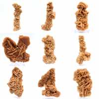 Rosa de arena mineral natural Túnez Rosa de arena mineral natural Túnez