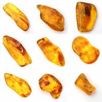 Piedra de ámbar amarillo de Lituania para la recolección de fósiles