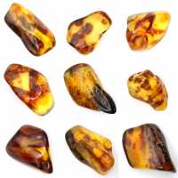 Pequeña piedra de ámbar pulido de Lituania - Colección Mineralógica