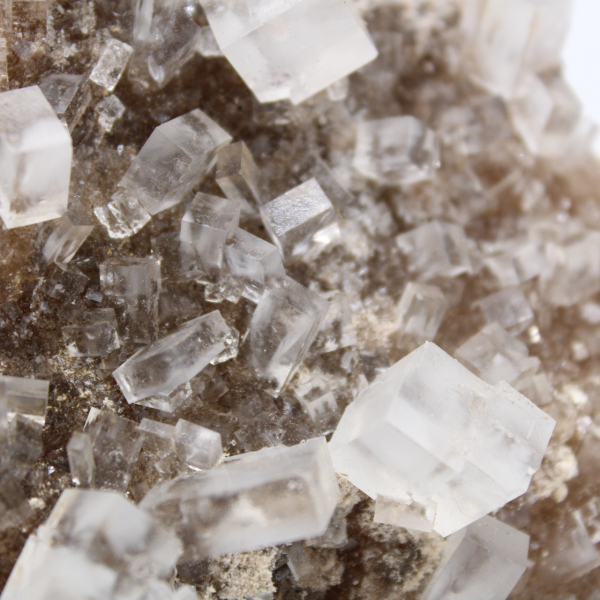 Cristales de sal de roca