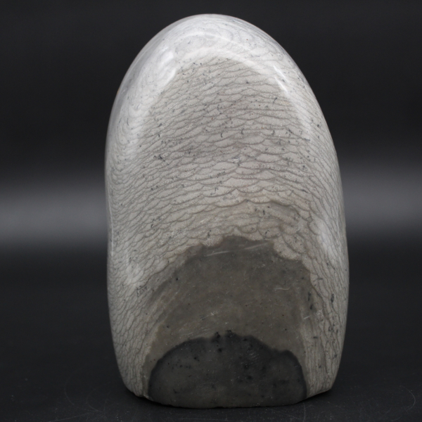 Forma libre de piedra de jaspe de cinta gris