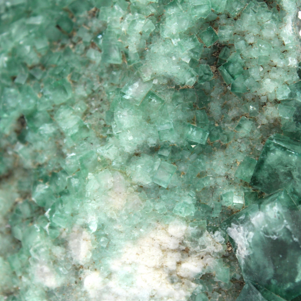 Cristales de fluorita en bruto sobre ganga
