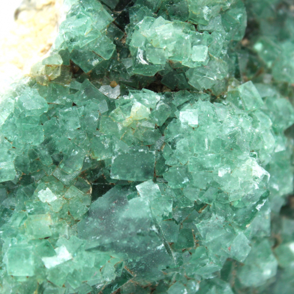 Cristales de fluorita verde crudo en ganga