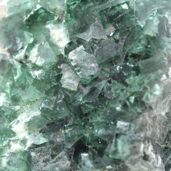 Cristales cúbicos de fluorita en ganga.