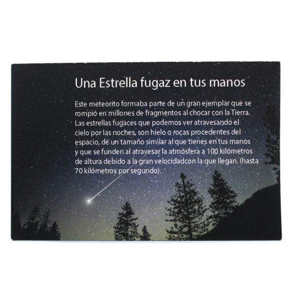 Fragmento de meteorito Campo del Cielo