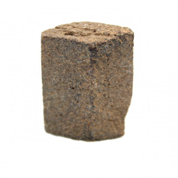 estaurotida