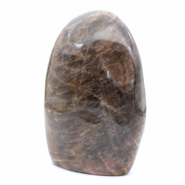 Colección de microclina negra natural