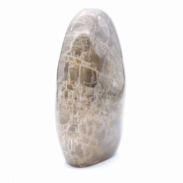 Piedra lunar negra pulida de forma libre