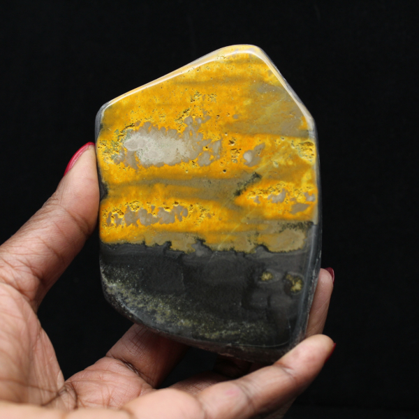 Colección Bumblebee Polished Indonesia