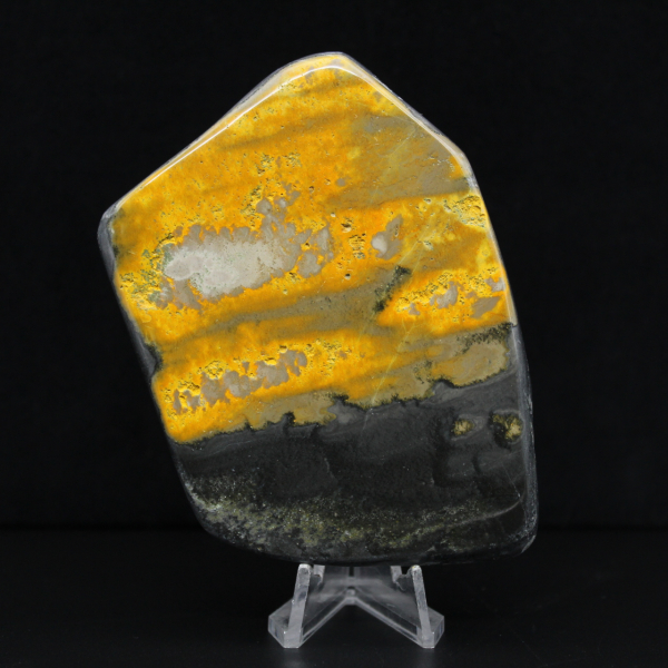 Colección Bumblebee Polished Indonesia