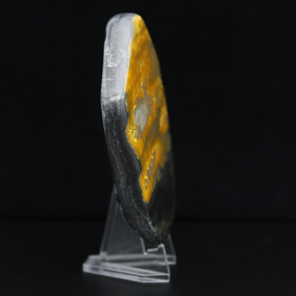 Colección Bumblebee Polished Indonesia